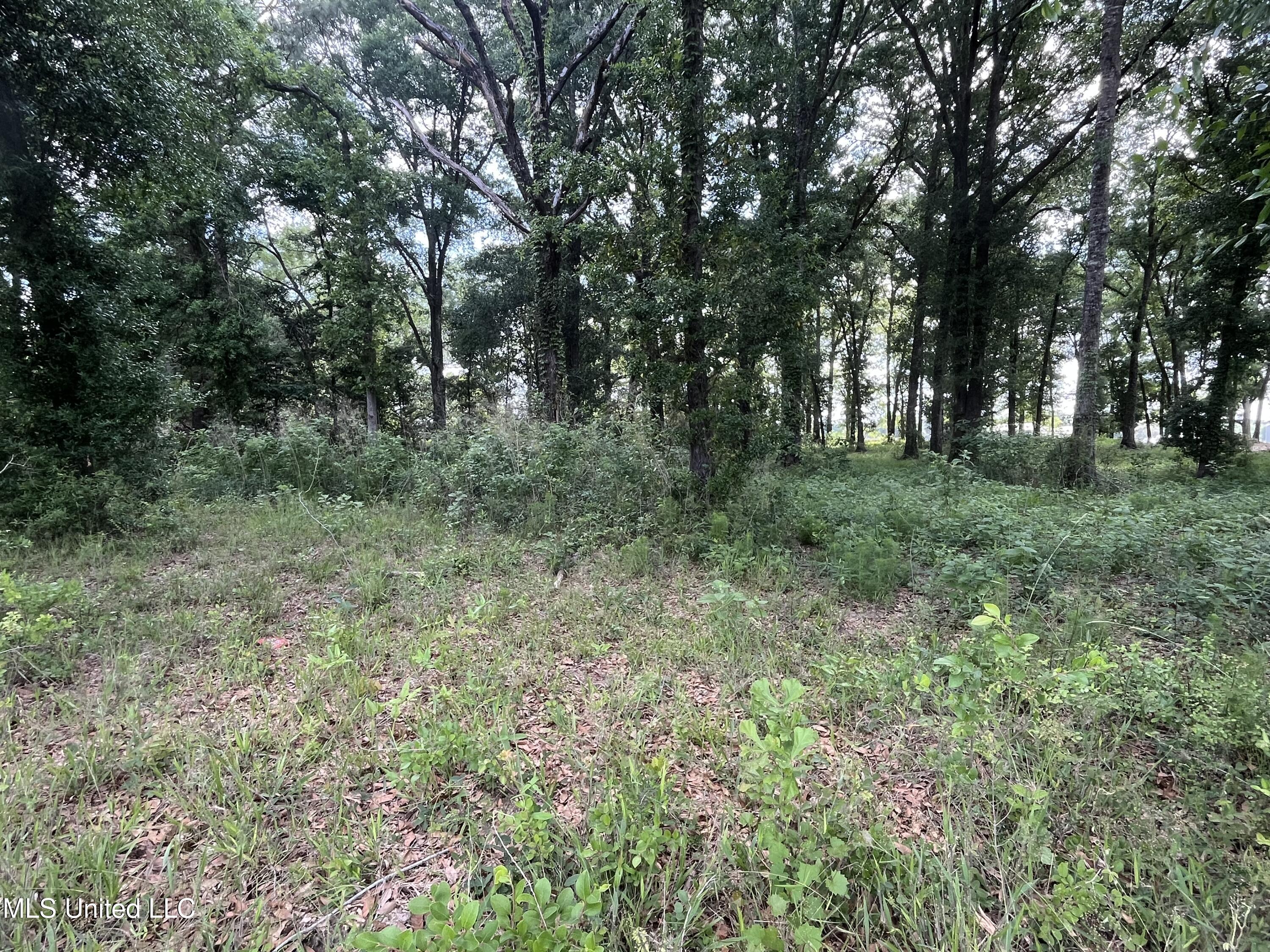 3.94-ac Yellow Bluff Road Lucedale, MS 39452 - Photo 6 of 6 IMG_8220