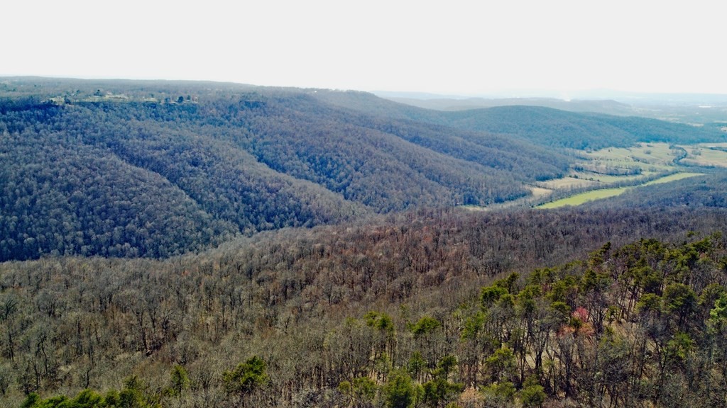 2982 Coal Bank Road Sparta, TN 38583 - Photo 1 of 55