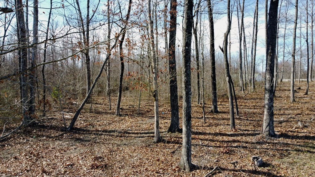 2982 Coal Bank Road Sparta, TN 38583 - Photo 21 of 55