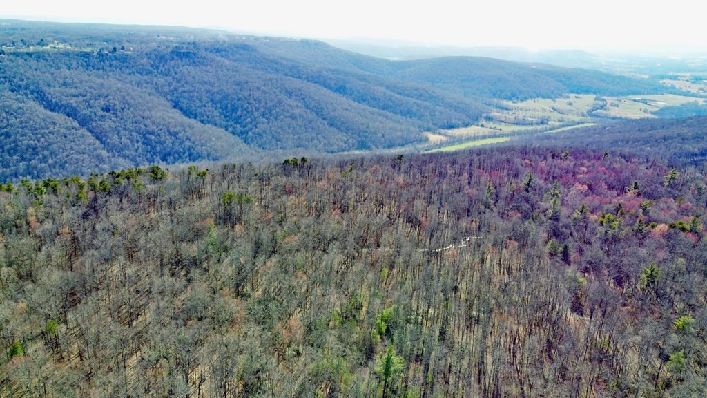 2982 Coal Bank Road Sparta, TN 38583 - Photo 3 of 55