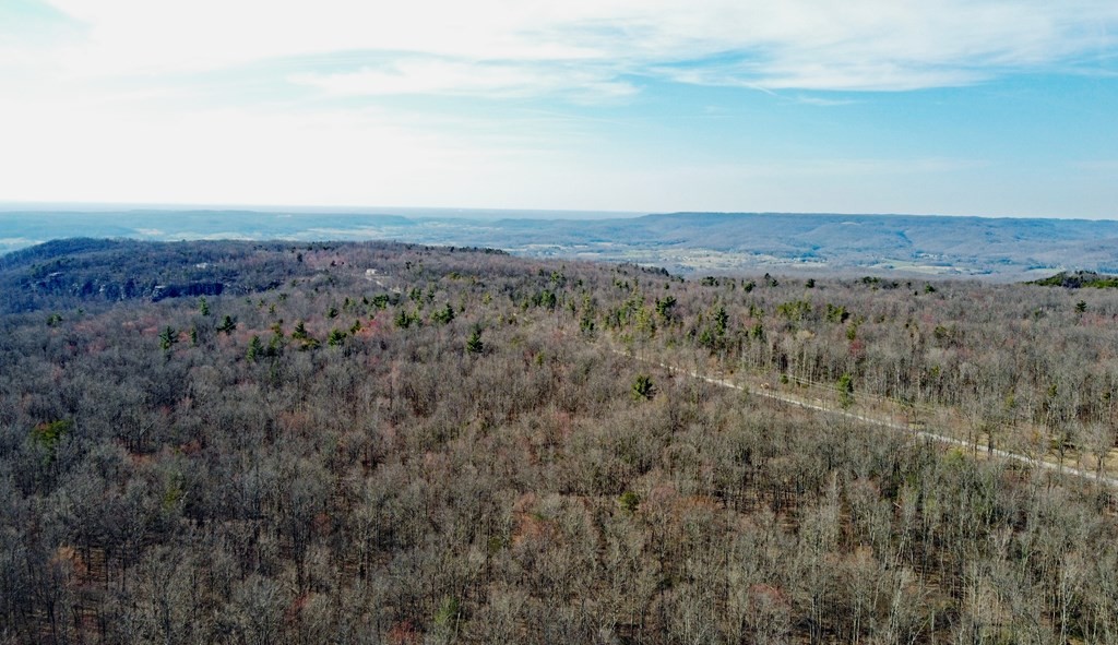 2982 Coal Bank Road Sparta, TN 38583 - Photo 40 of 55