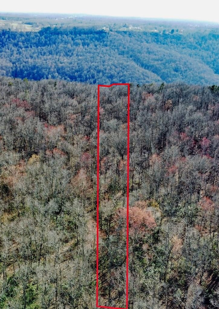 2982 Coal Bank Road Sparta, TN 38583 - Photo 4 of 55