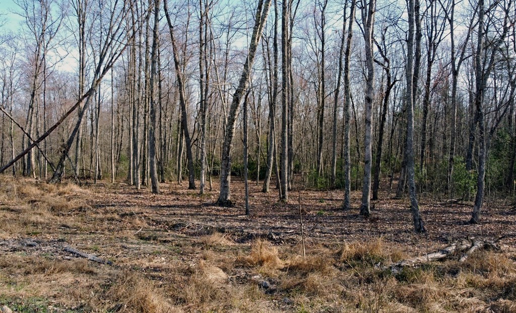 2982 Coal Bank Road Sparta, TN 38583 - Photo 47 of 55