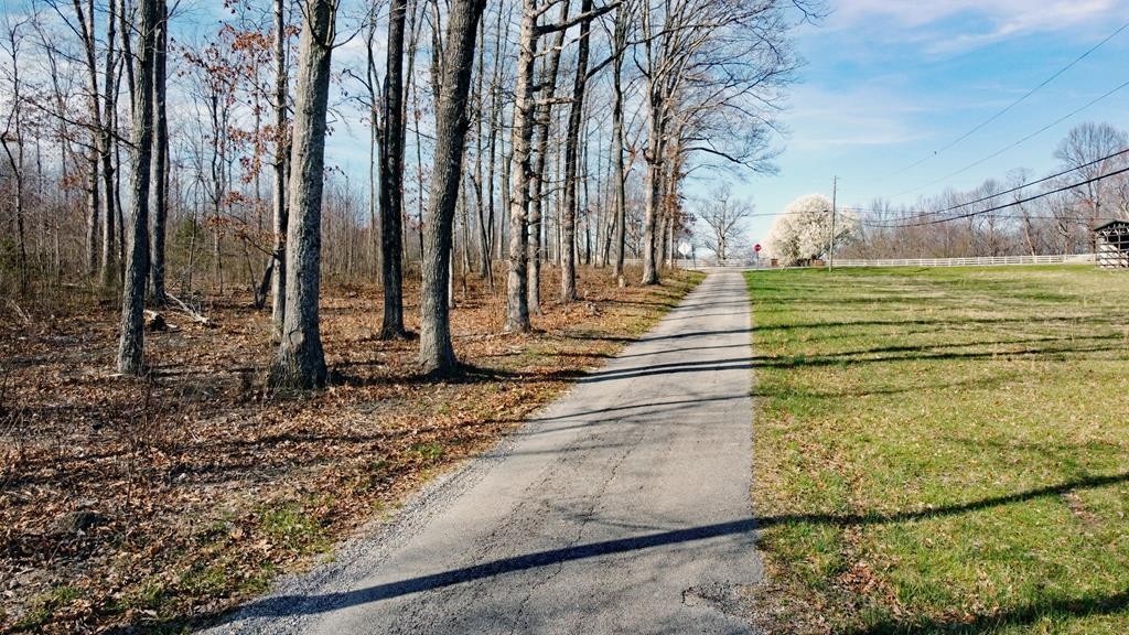2982 Coal Bank Road Sparta, TN 38583 - Photo 5 of 55
