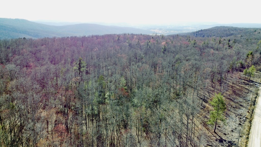 2982 Coal Bank Road Sparta, TN 38583 - Photo 54 of 55
