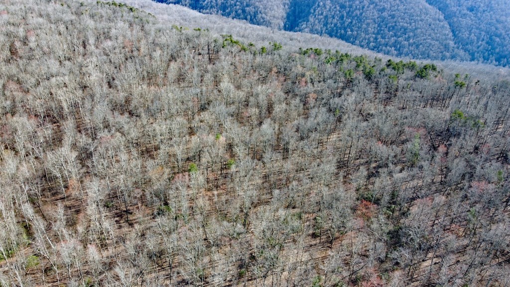 2982 Coal Bank Road Sparta, TN 38583 - Photo 7 of 55