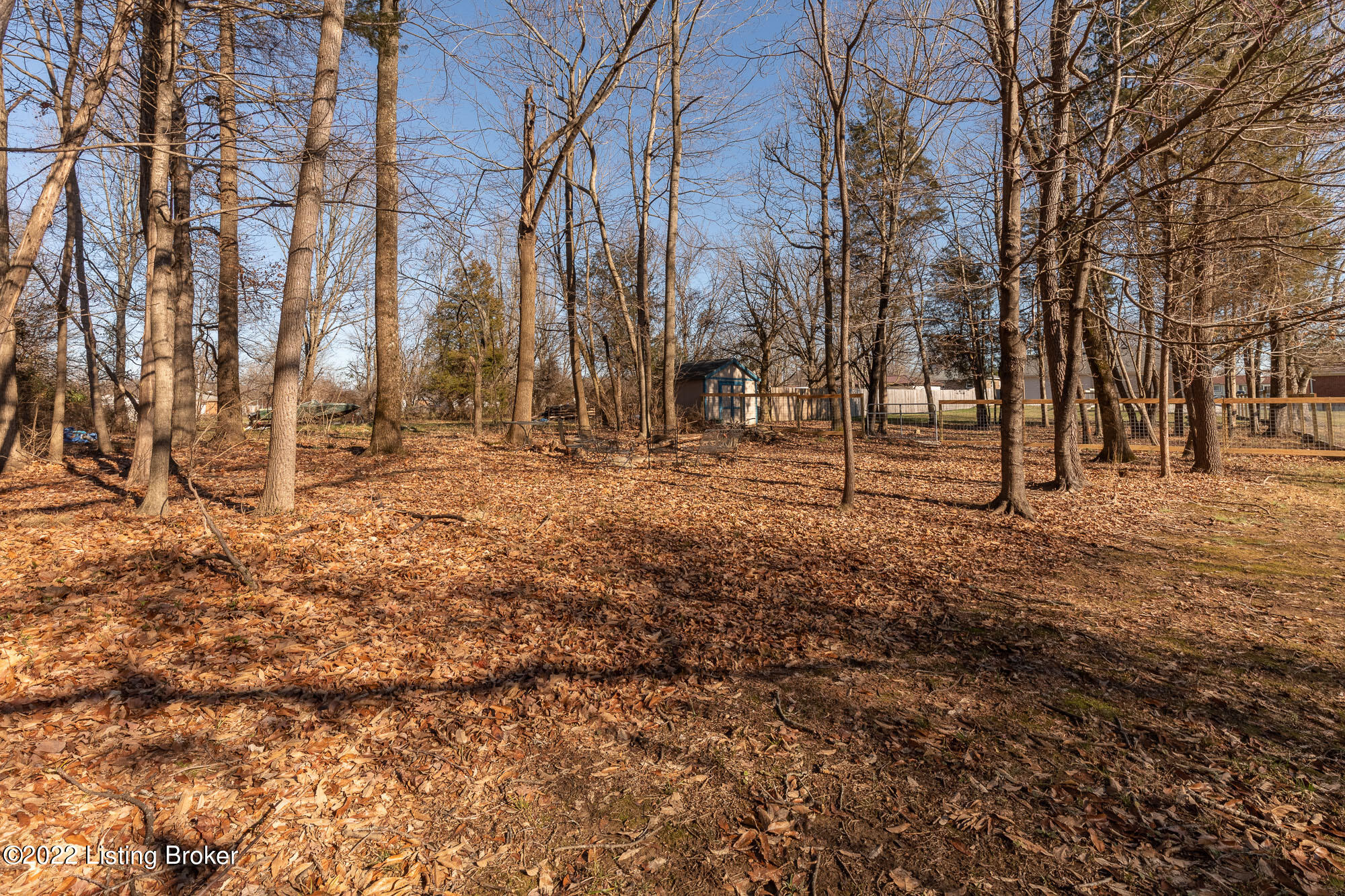 6205 Cooper Chapel Road Louisville, KY 40229 - Photo 45 of 47 Wooded View