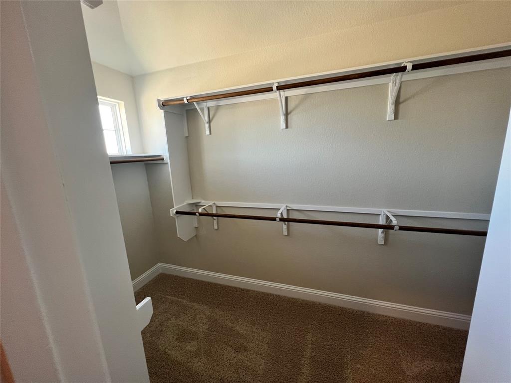 128 Free Stone Drive Georgetown, TX 78628 - Photo 14 of 29 Walk-in closet featuring carpet flooring, natural light from a window, and multiple wood-finish hanging rods with shelving