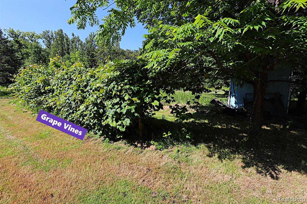 8331 Wissmiller Road South Branch, MI 48761 - Photo 35 of 59 Gallery Image 35