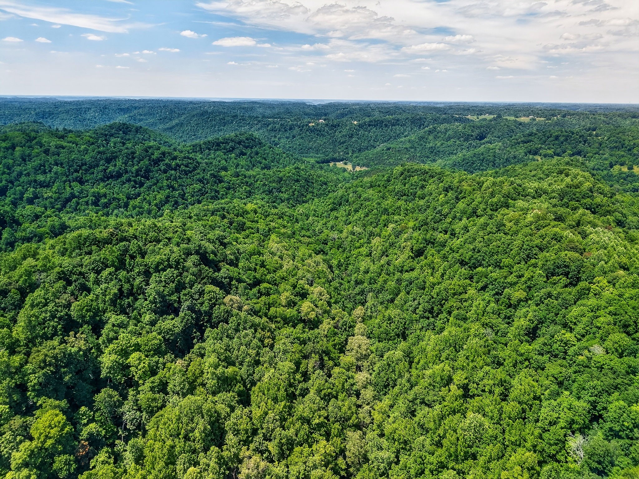 2926 Bryant Ridge Road Baxter, TN 38544 - Photo 49 of 64