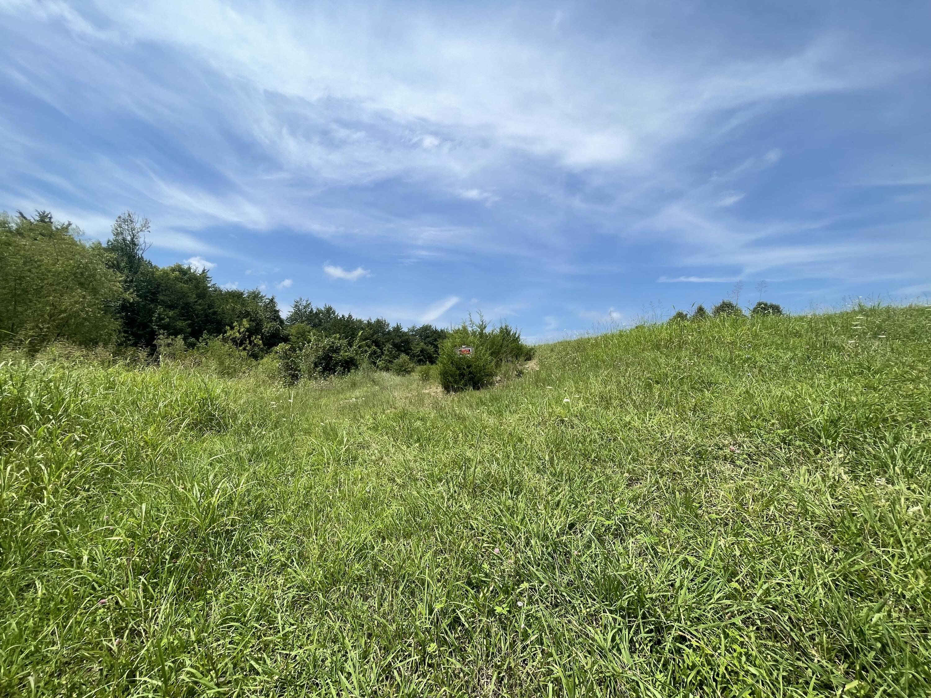 Tbd Red Gate Road, Unit 12 Greeneville, TN 37743 - Photo 11 of 14 Privacy!