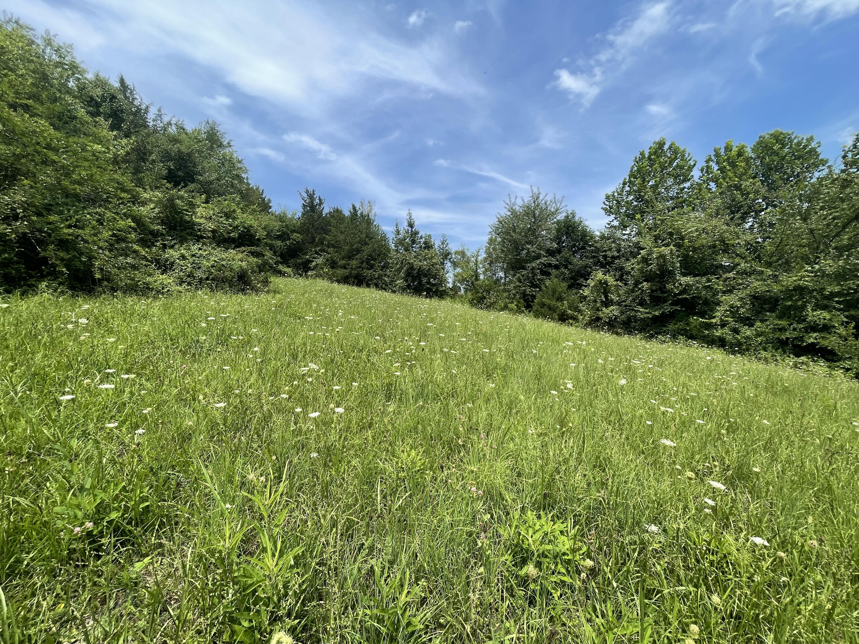 Tbd Red Gate Road, Unit 12 Greeneville, TN 37743 - Photo 13 of 14 Road view.