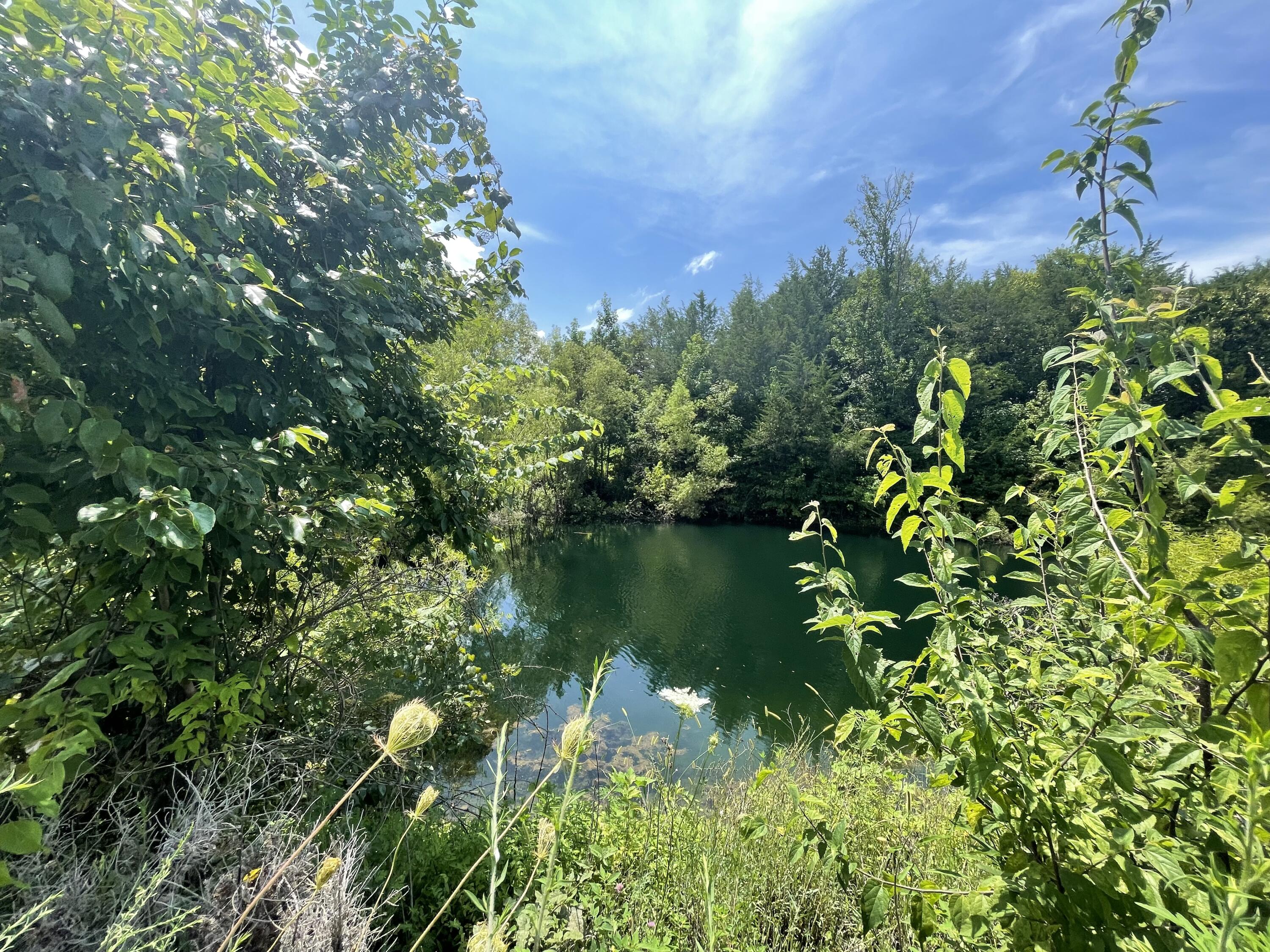 Tbd Red Gate Road, Unit 12 Greeneville, TN 37743 - Photo 3 of 14 Lovely Private Pond!