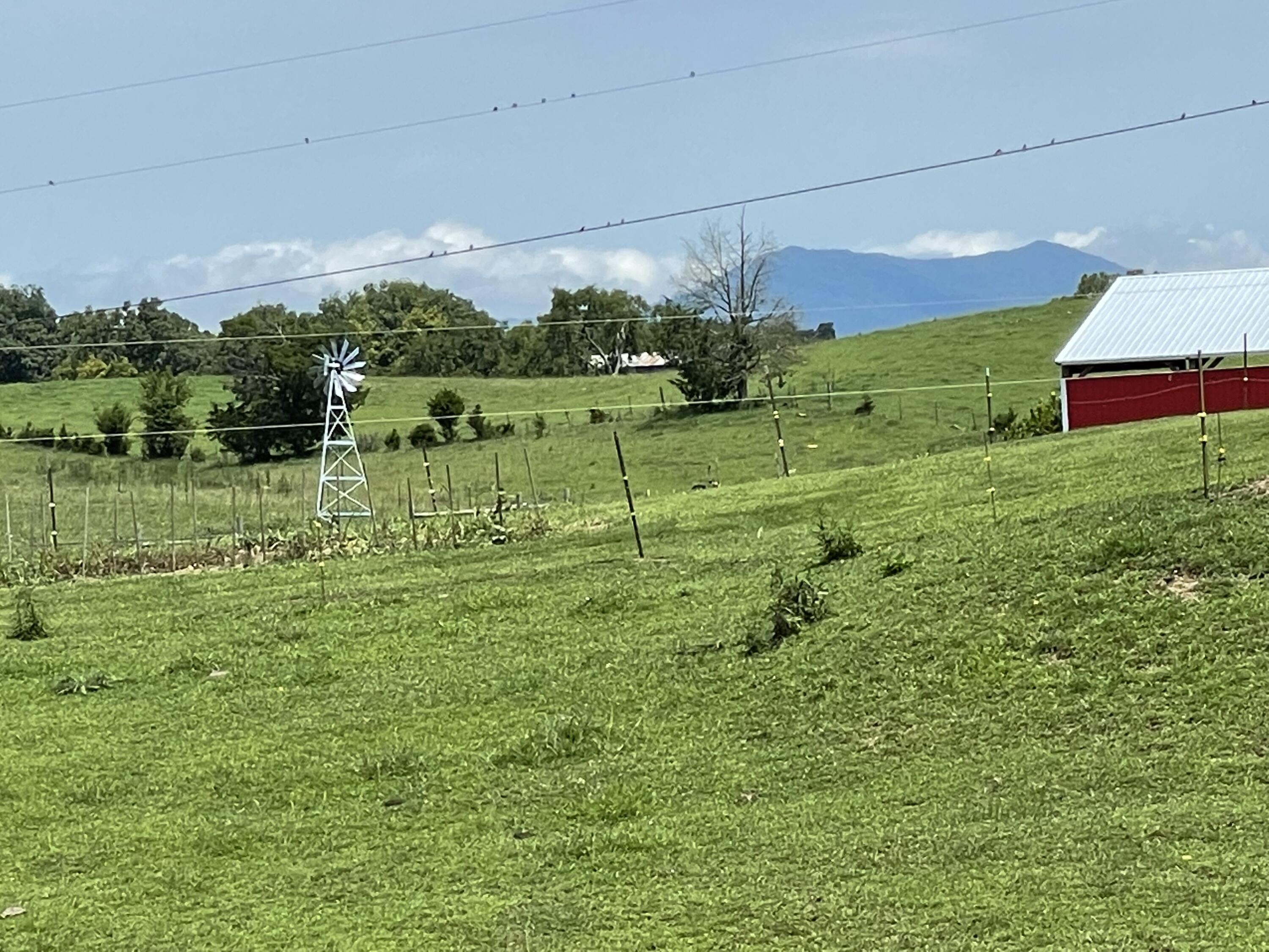 Tbd Red Gate Road, Unit 12 Greeneville, TN 37743 - Photo 4 of 14 Gorgeous Mountain View!