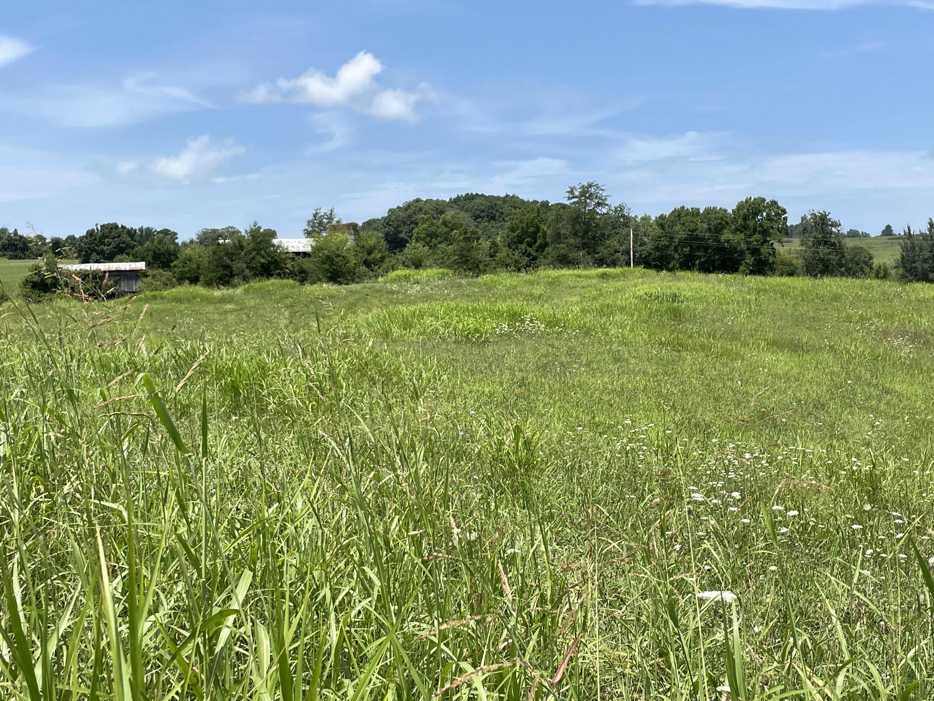 Tbd Red Gate Road, Unit 12 Greeneville, TN 37743 - Photo 7 of 14 Multiple Build Sites!