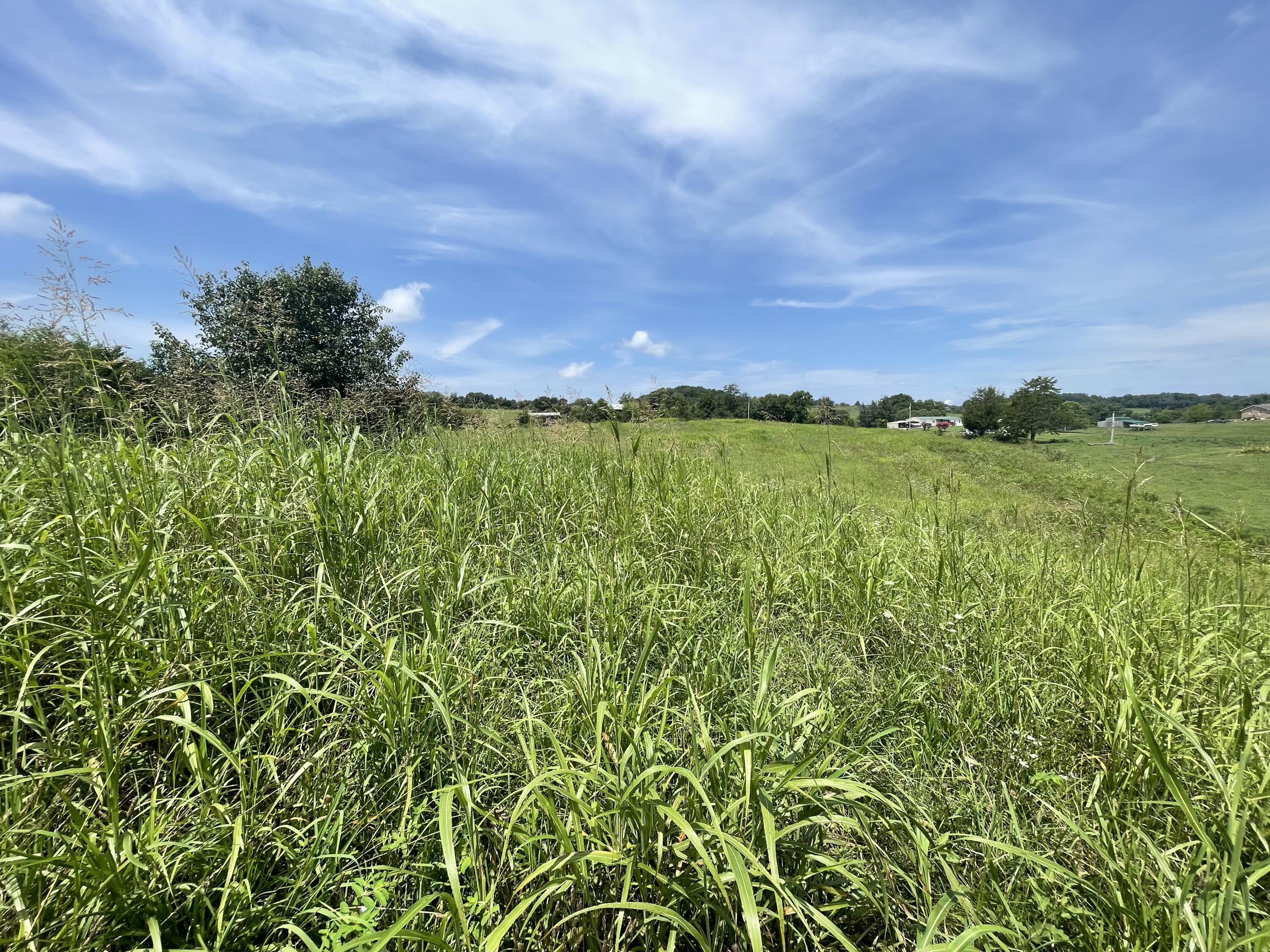 Tbd Red Gate Road, Unit 12 Greeneville, TN 37743 - Photo 8 of 14 Rolling hills!