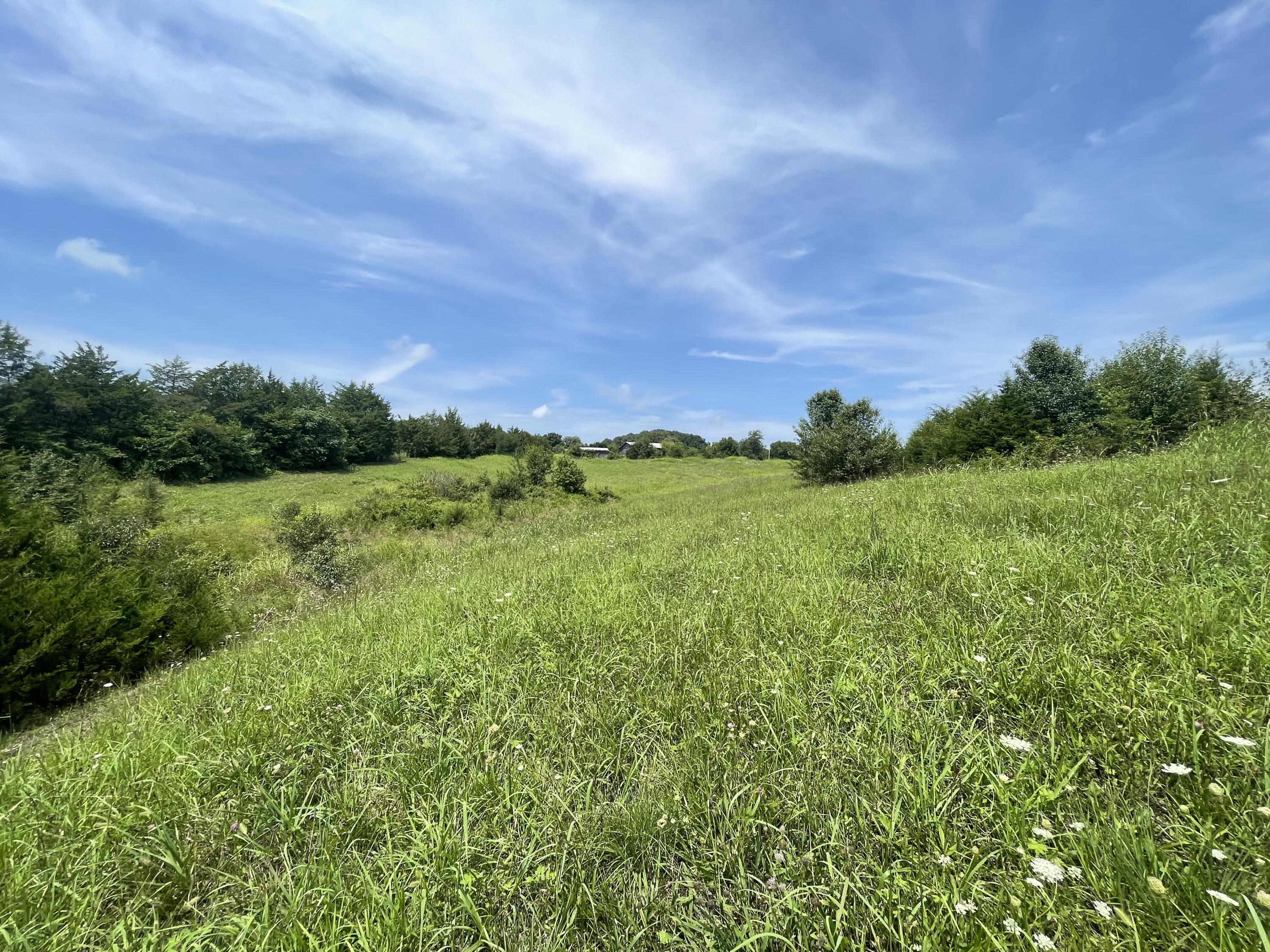 Tbd Red Gate Road, Unit 12 Greeneville, TN 37743 - Photo 9 of 14 Gentle Slope!