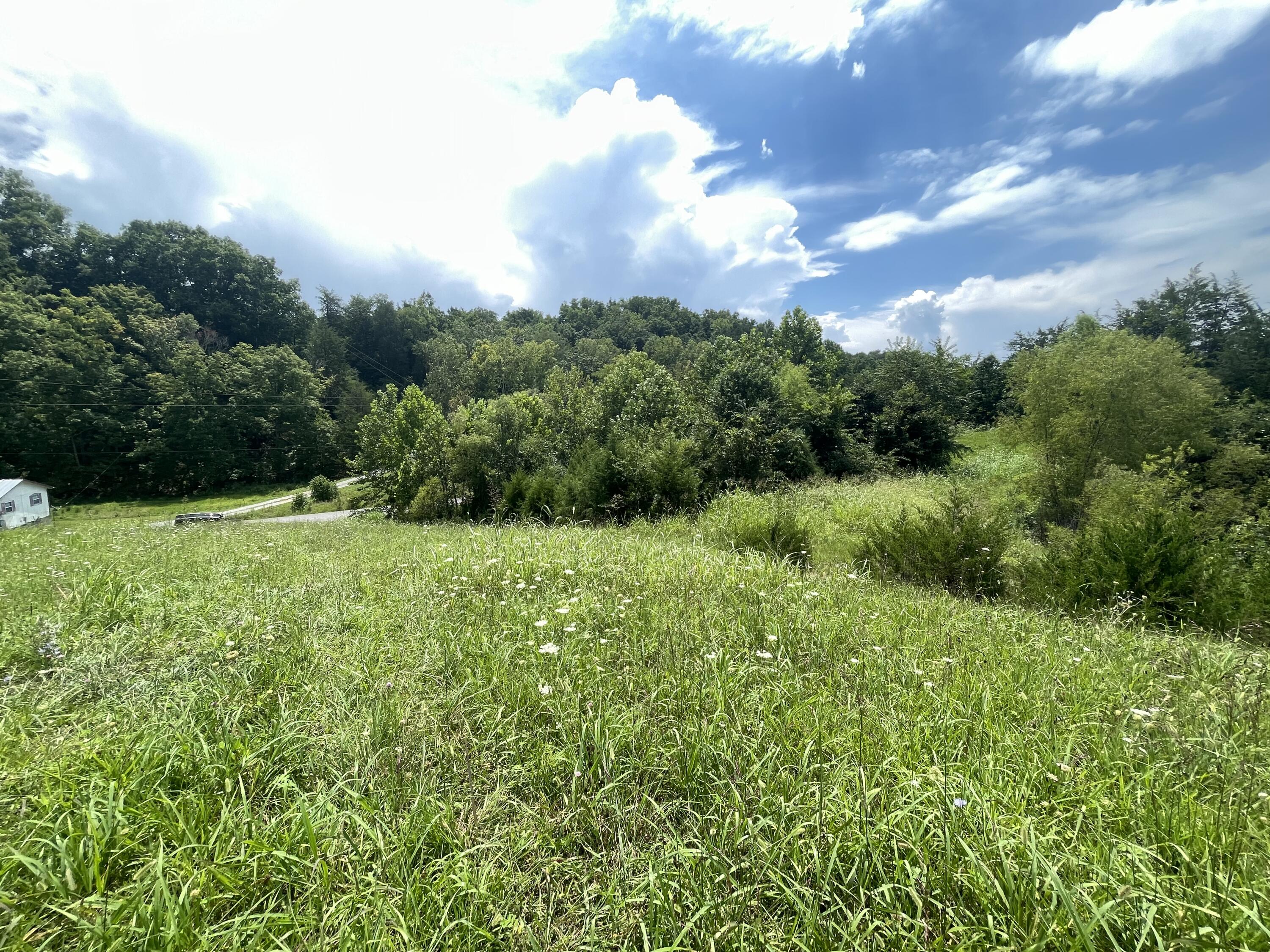 Tbd Red Gate Road, Unit 12 Greeneville, TN 37743 - Photo 10 of 14 Secluded!