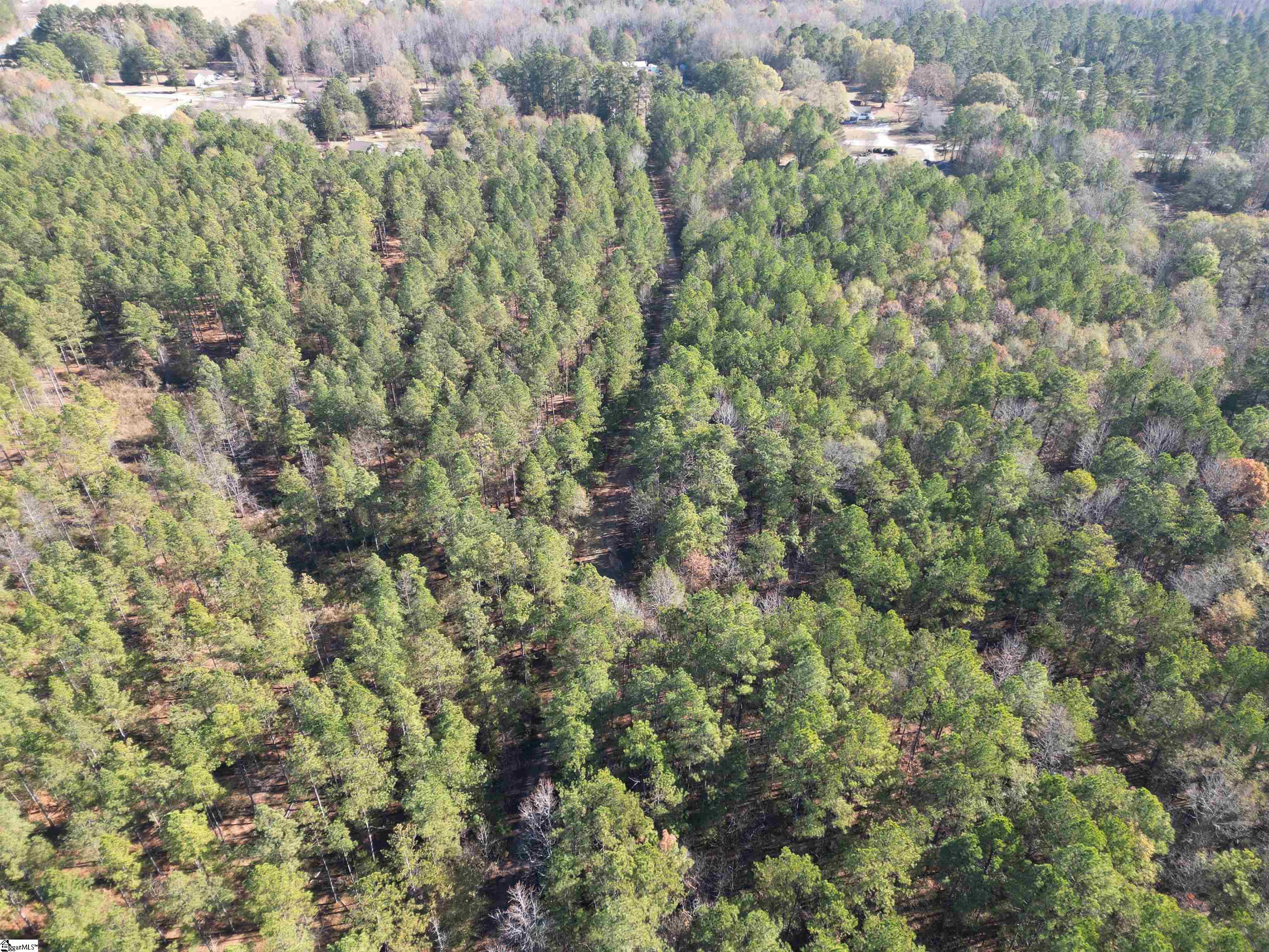 959 Trinity Church Road Laurens, SC 29360 - Photo 36 of 36 Gallery Image 36