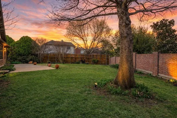 a view of backyard with tree