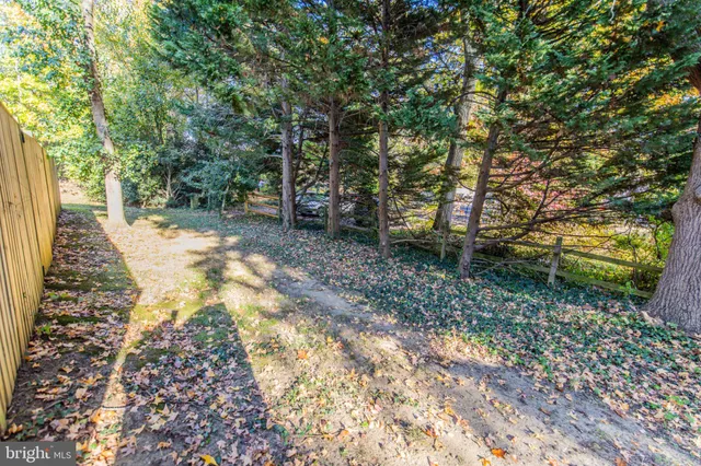 a view of a yard with plants and trees