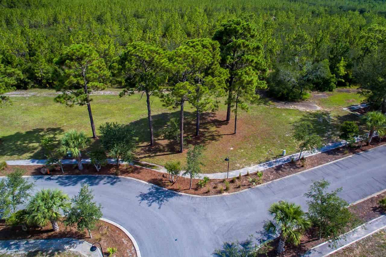 39 Marlberry Santa Rosa Beach Santa Rosa Beach, FL 32459 - Photo 10 of 25 Gallery Image 10