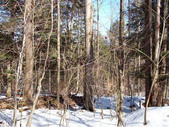 23 Stewart Road Conklin, NY 13748 - Photo 1 of 5 Gallery Image 1