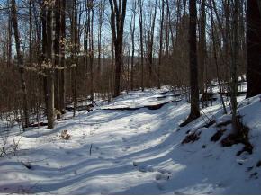 23 Stewart Road Conklin, NY 13748 - Photo 2 of 5 Gallery Image 2