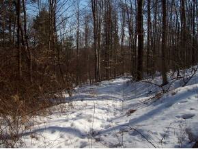 23 Stewart Road Conklin, NY 13748 - Photo 4 of 5 Gallery Image 4