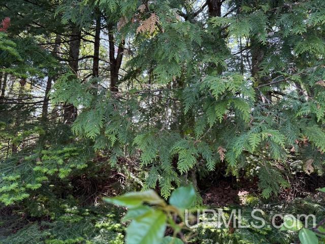 Five 5 Mile Pt Road, Unit LOT 15 OF KIDDER & ROCK S Allouez, MI 49805 - Photo 14 of 46