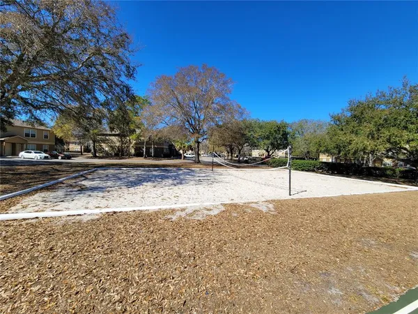 a view of a yard with trees