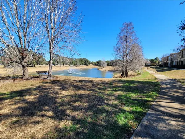 a view of a yard with large trees