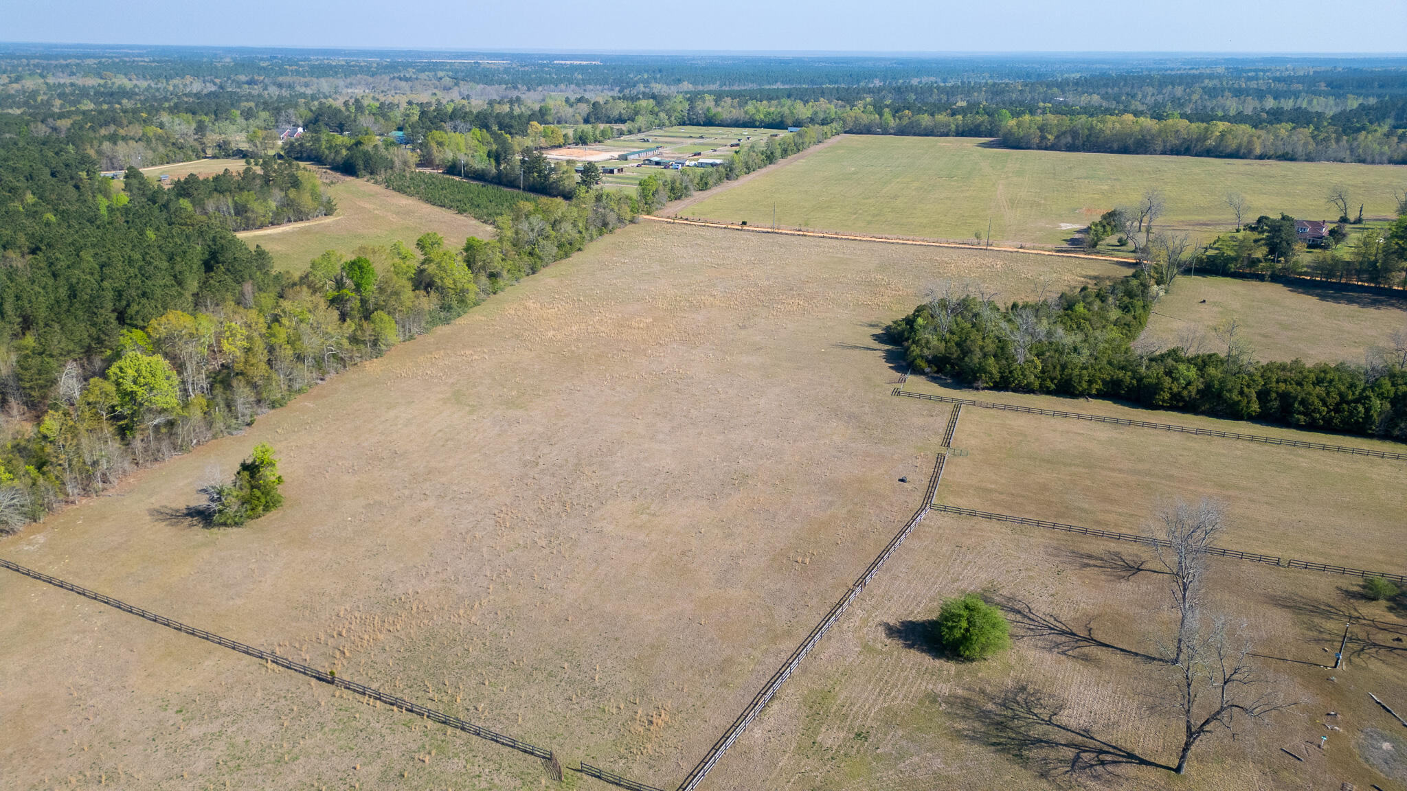 252 Moseley Road Williston, SC 29853 - Photo 62 of 64