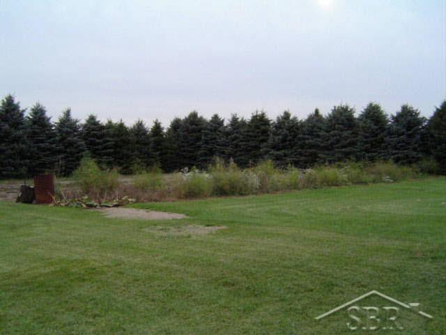 10838 East Madison Road Wheeler, MI 48662 - Photo 5 of 8 20044311-4.JPG