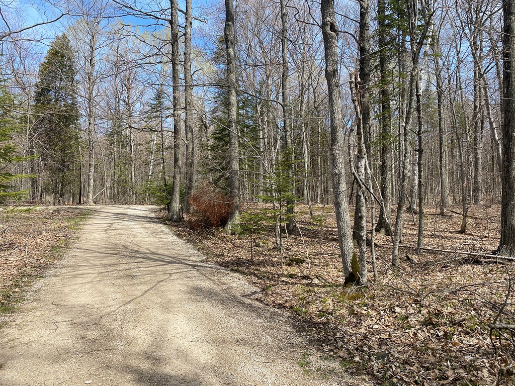 Tbd Boyers Bluff Road Washington Island, WI 54246 - Photo 3 of 10