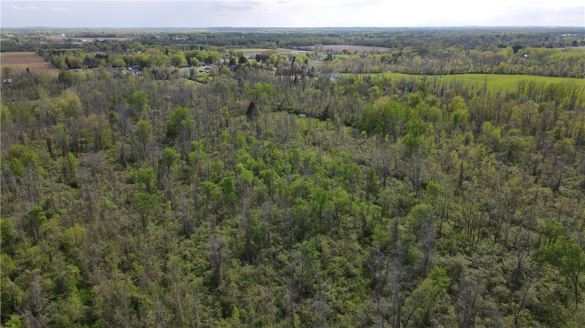 200 Burritt Road Parma, NY 14468 - Photo 14 of 20