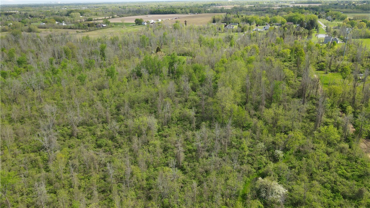 200 Burritt Road Parma, NY 14468 - Photo 15 of 20