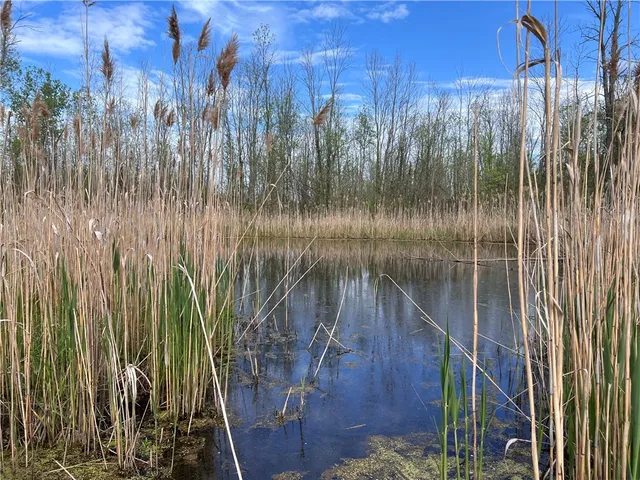 $289,900 | 200 Burritt Road, Parma, NY 14468