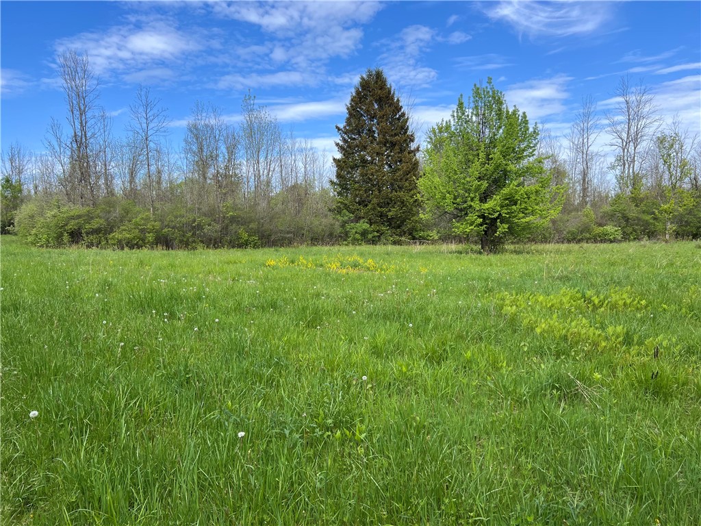 200 Burritt Road Parma, NY 14468 - Photo 4 of 20