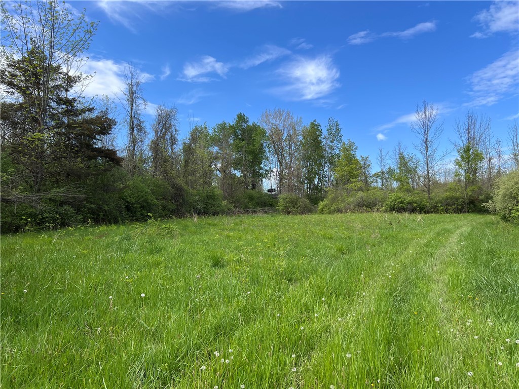 200 Burritt Road Parma, NY 14468 - Photo 5 of 20