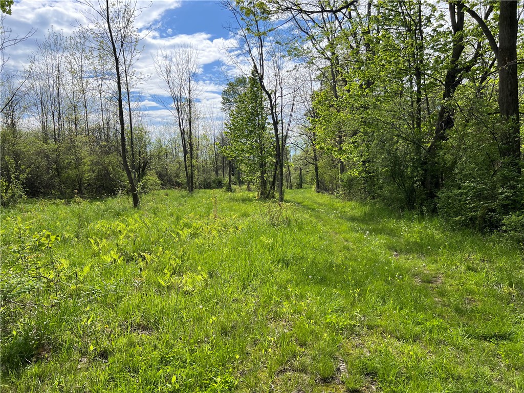 200 Burritt Road Parma, NY 14468 - Photo 7 of 20