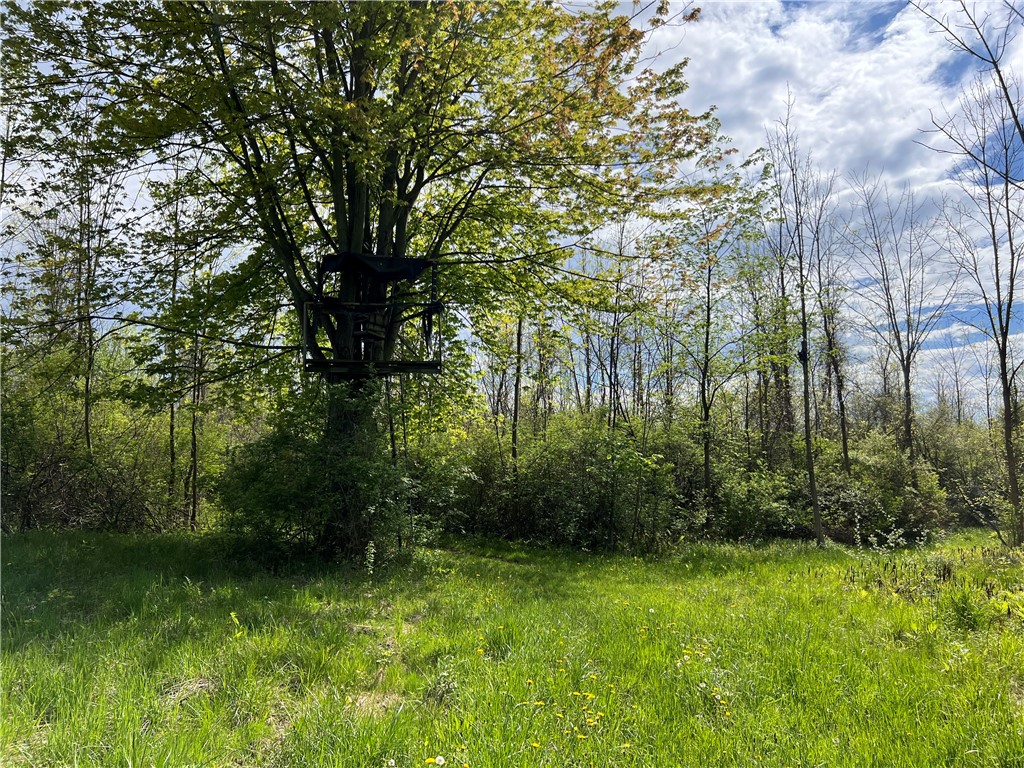 200 Burritt Road Parma, NY 14468 - Photo 8 of 20