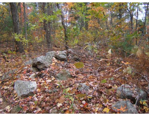 Lot B North Brookfield Road Oakham, MA 01543 - Photo 1 of 1 Gallery Image 1