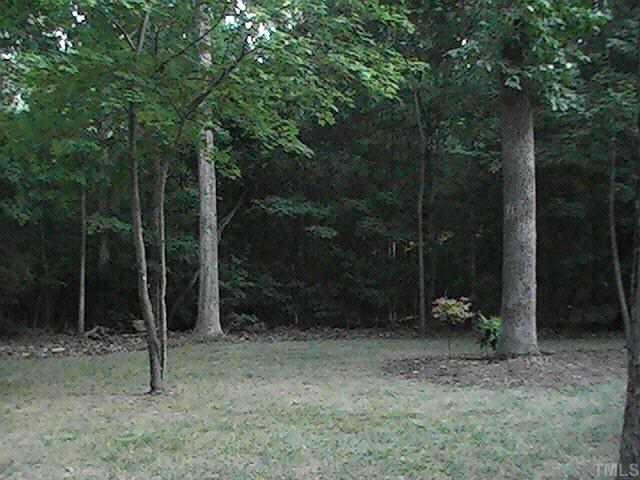 3012 Bolo Trail Raleigh, NC 27615 - Photo 4 of 10 Other