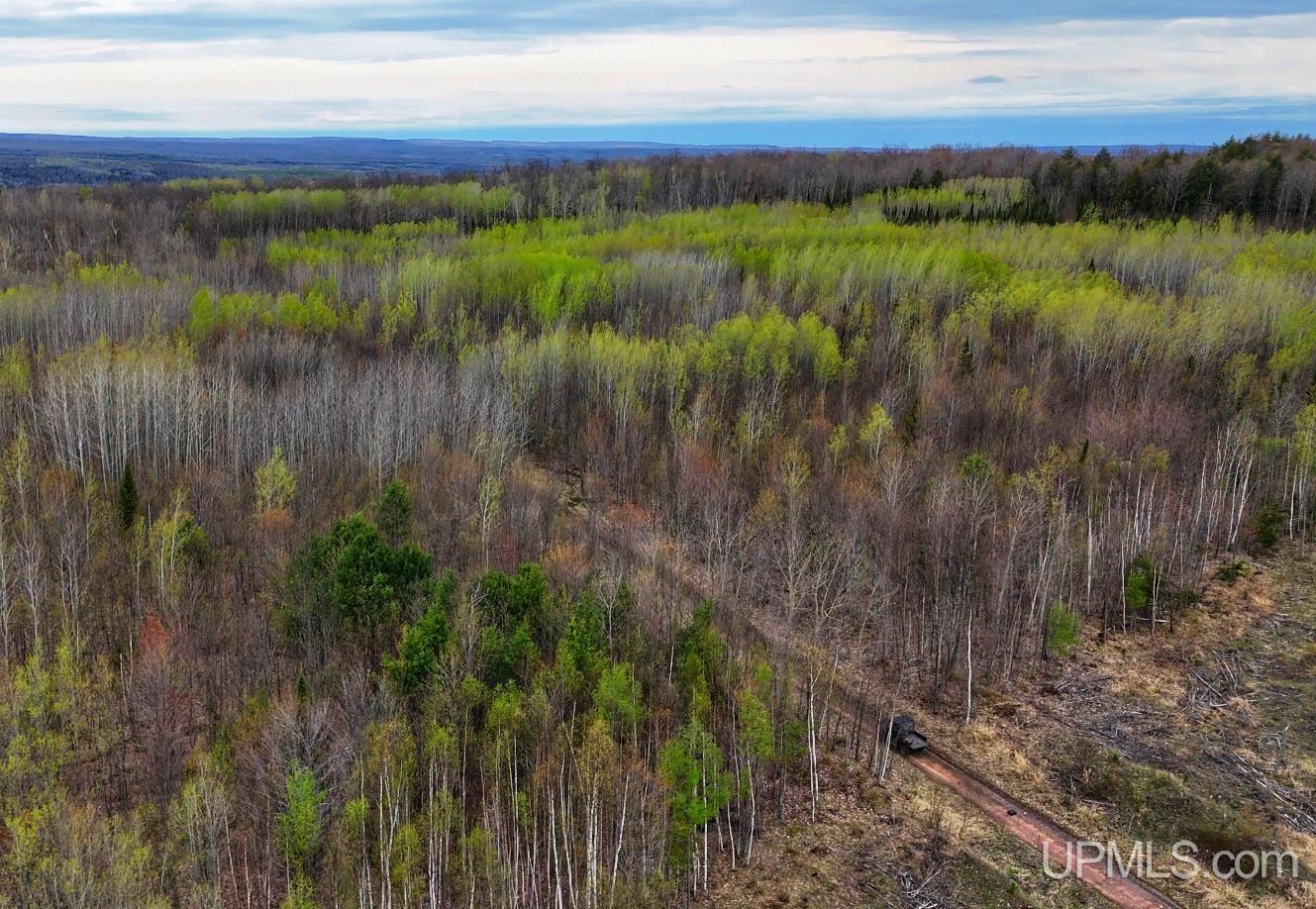 Tbdw Tbdw Off Townline Road Lanse, MI 49946 - Photo 14 of 17