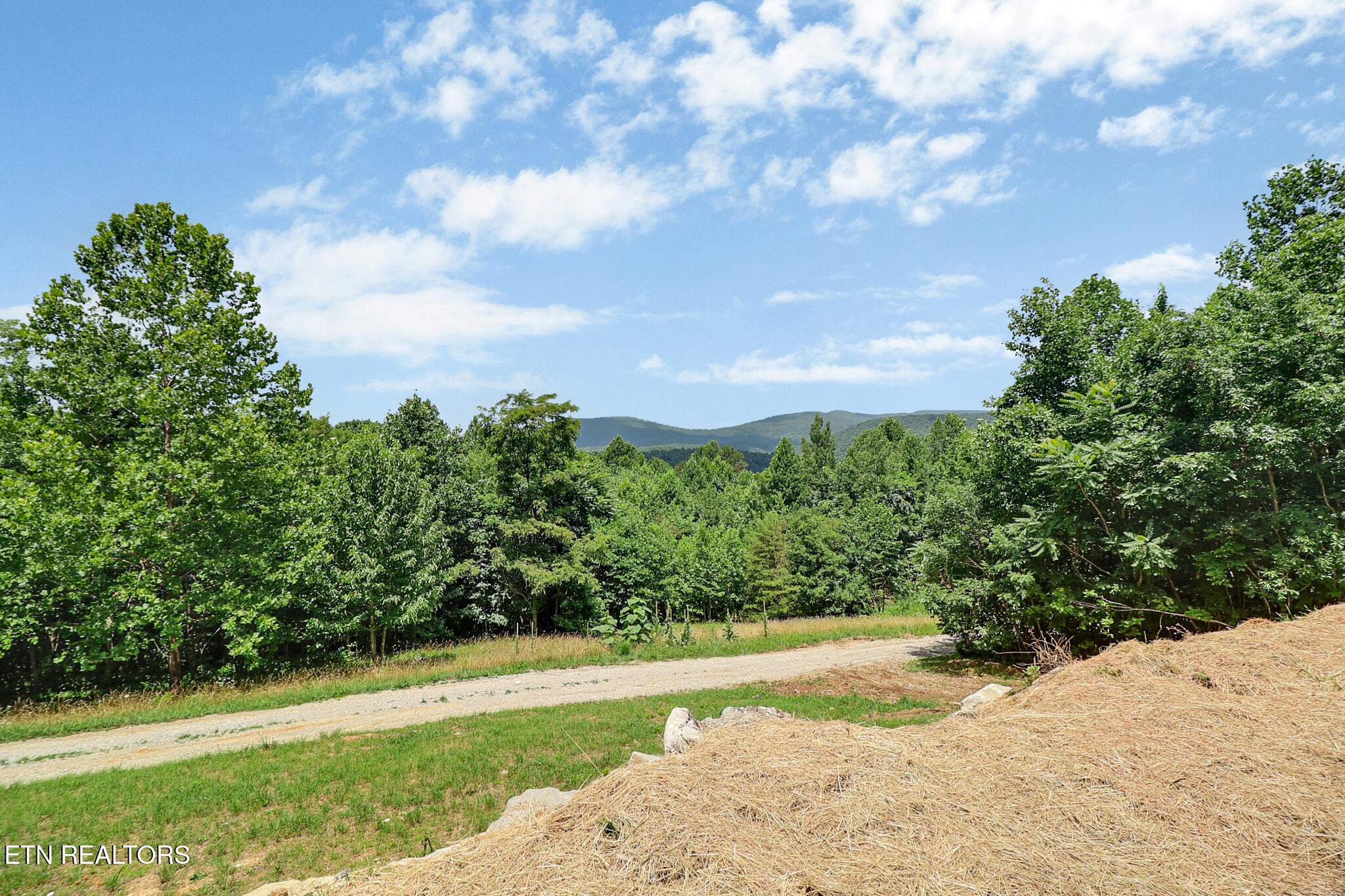 517 Big Sky Road Jamestown, TN 38556 - Photo 47 of 50