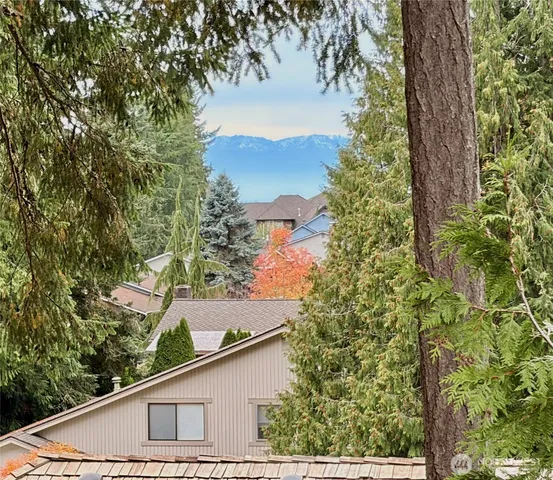 a view of an empty room and wooden floor