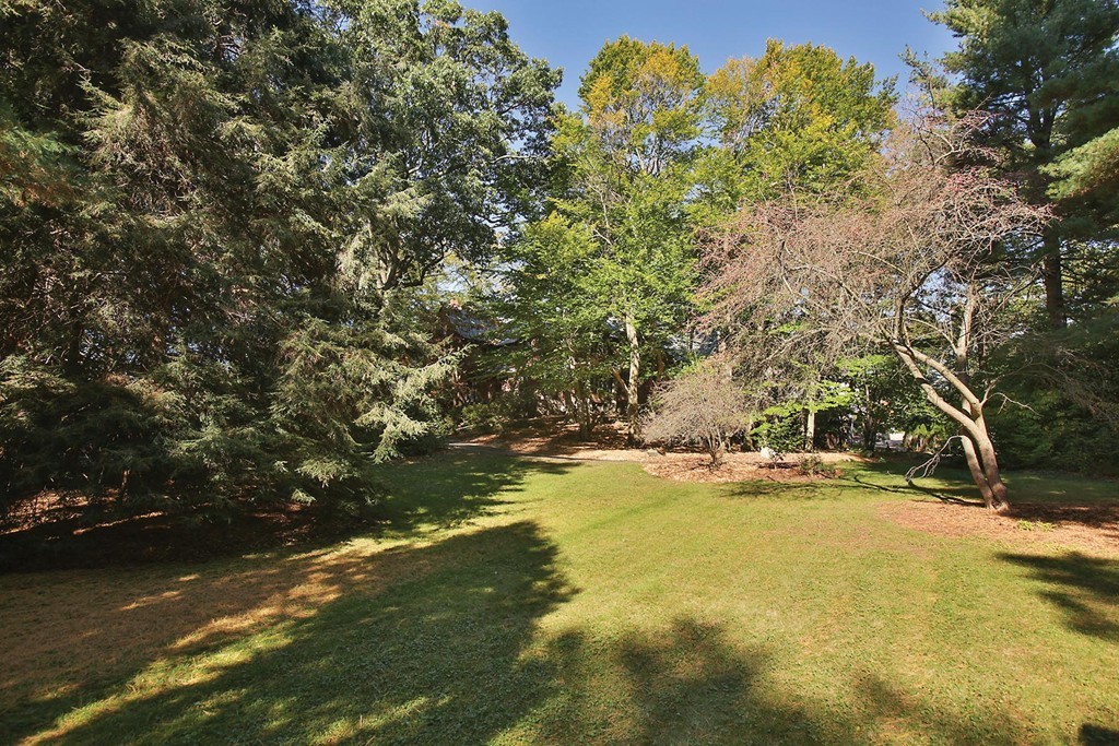 46 Sargent Crossway Brookline, MA 02445 - Photo 13 of 23