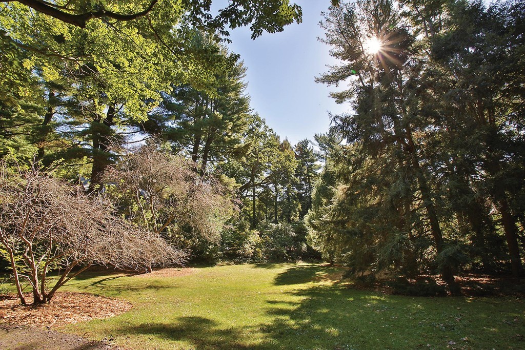 46 Sargent Crossway Brookline, MA 02445 - Photo 14 of 23