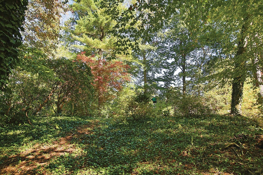 46 Sargent Crossway Brookline, MA 02445 - Photo 15 of 23